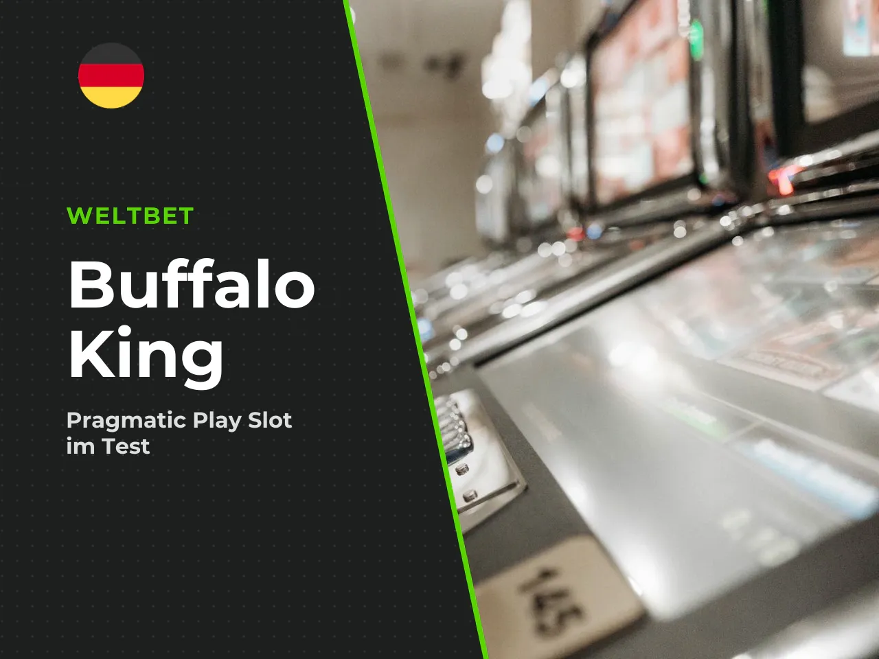 Buffalo King in 60 Sekunden