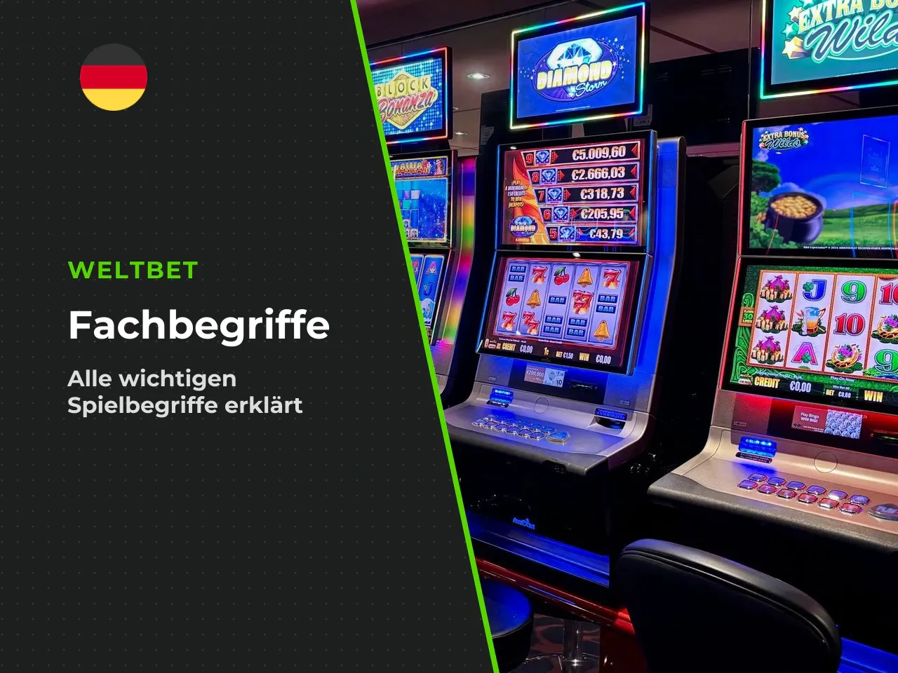 Erläuterung der Fachbegriffe