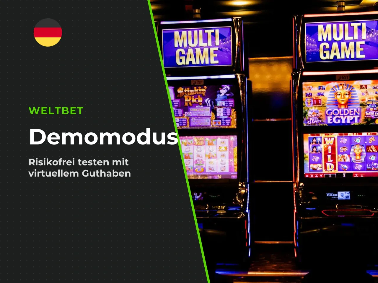 2.1 Was die Demo leistet und