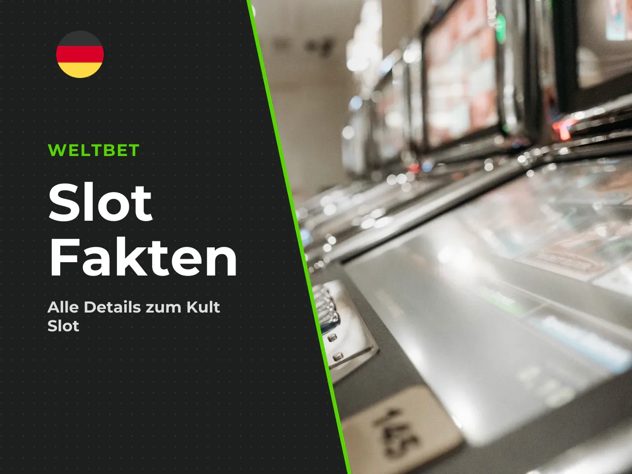 1.1 Die harten Fakten zu Wanted