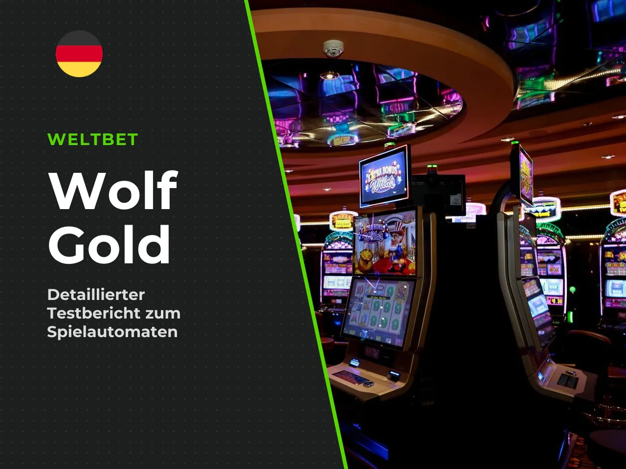 Kurz eingeordnet - Wolf Gold 4