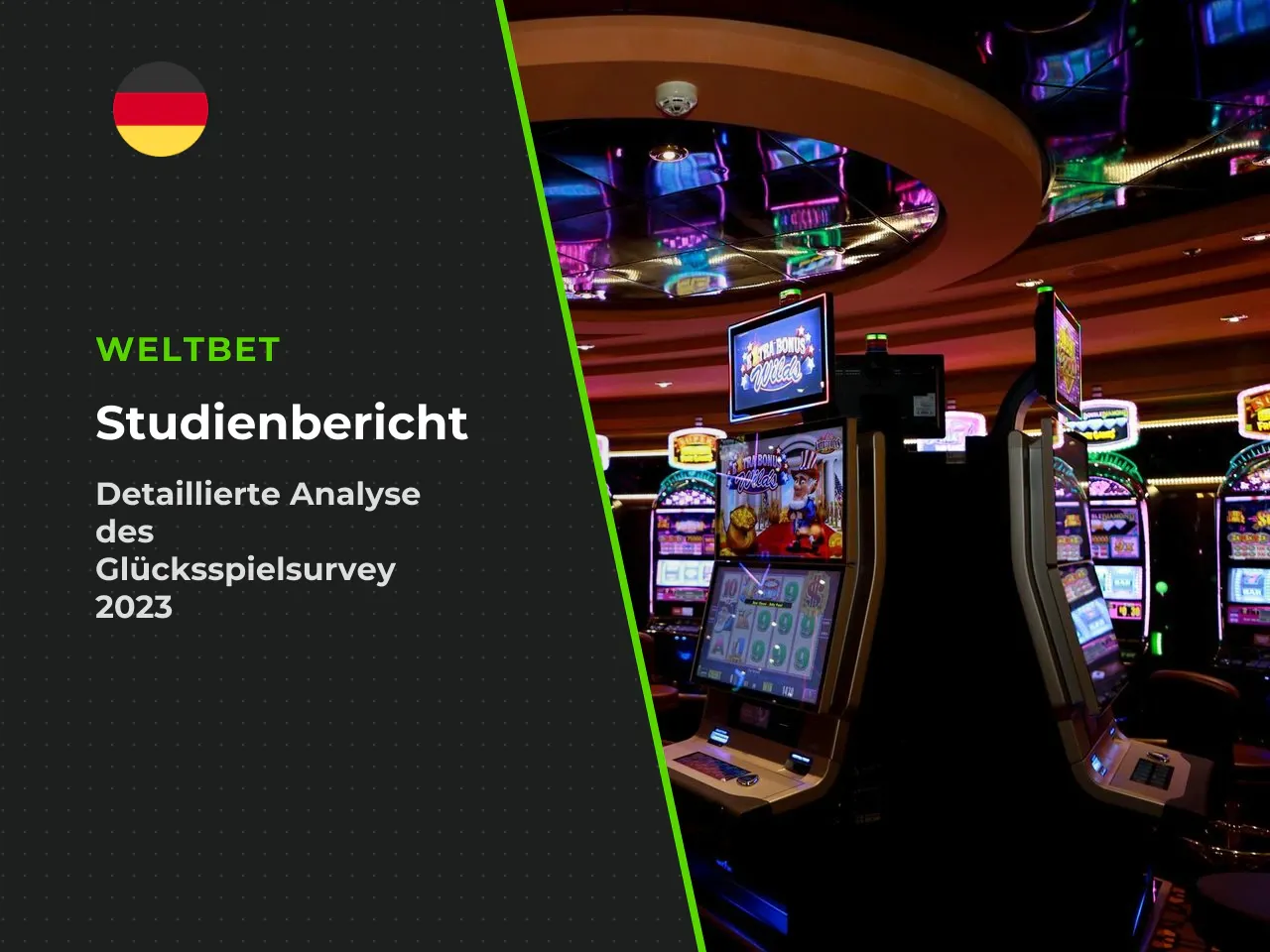 Überblick über zentrale deutschsprachige Studien und