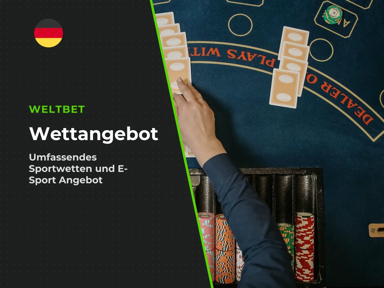 Angebotsbreite als Kontext der Umsatzbedingungen. Das
